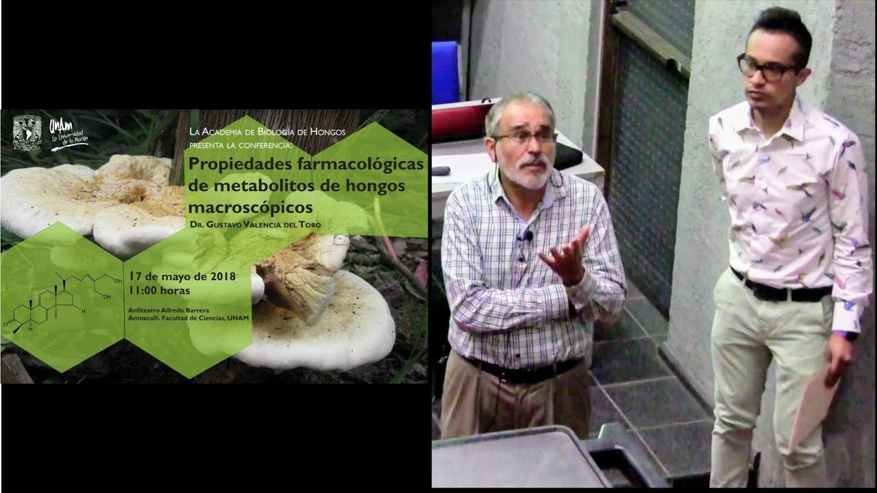 Propiedades farmacológicas de metabolitos de hongos macroscópicos (Gustavo Valencia)
