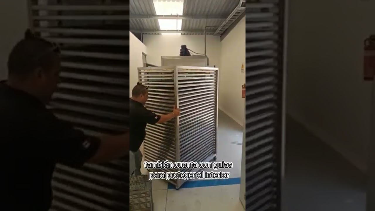 Deshidratador de alimentos industrial, secador de alimentos industrial, frutas, verduras y carnes