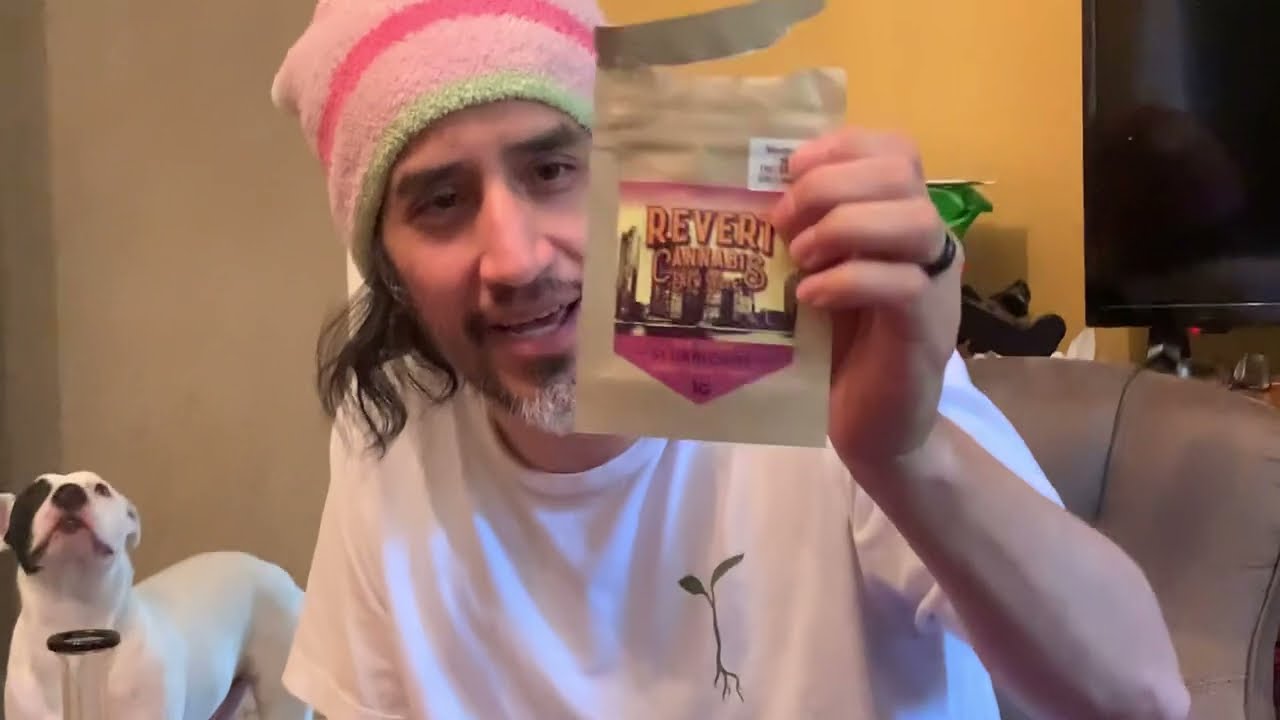 Revert Cannabis New York Slurricane Review