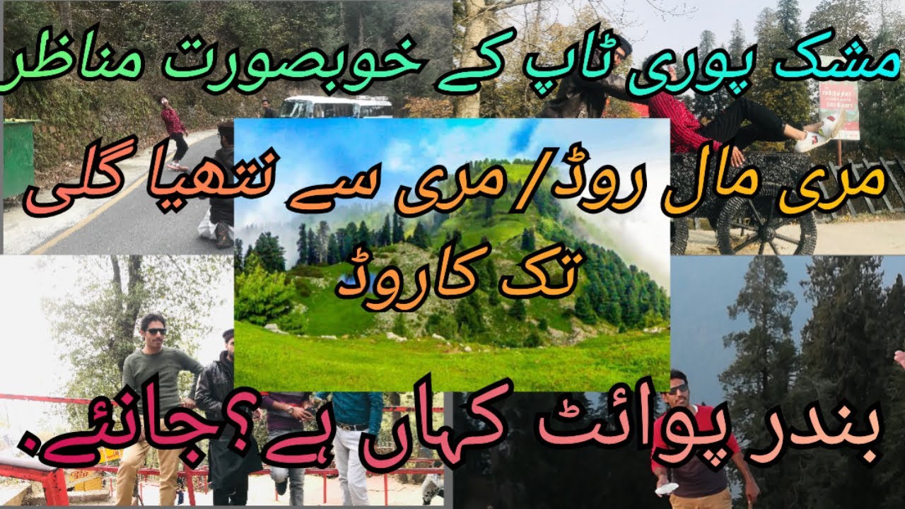 Mushkpuri Top | Mushkpuri Donga Gali Track | Nathia Gali Tour | Mushkpuri Top in Summer | Murree