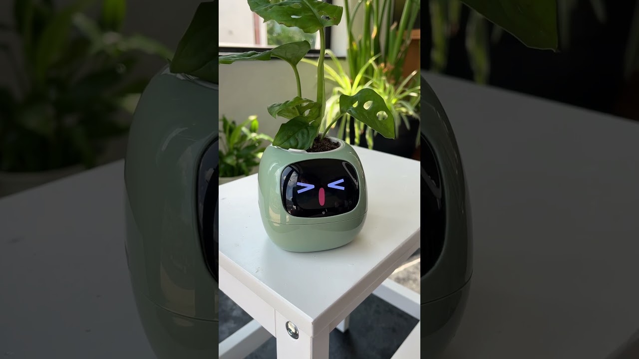 This pot saved my plants&hellip; ☺️🙏🏻