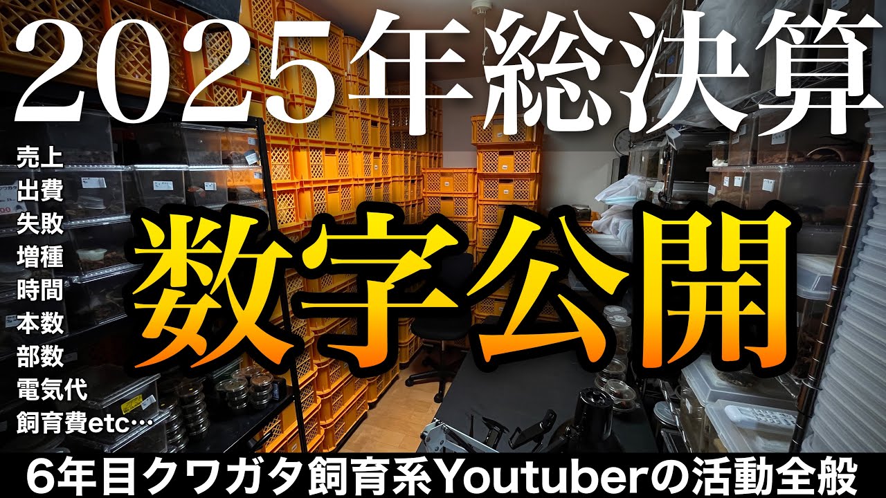 数字で振り返る2025年 数字や売上・出費大公開【クワガタ飼育】