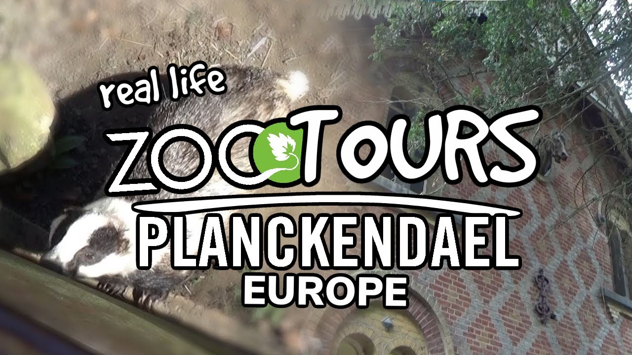 Zoo Planckendael, Ending it with Europe! | Real Life Zoo Tours (ft. @Iben)