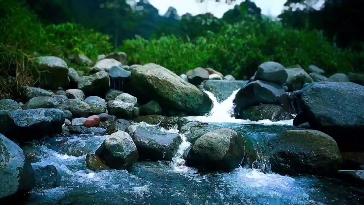 🍃 Quiet River Stream ASMR Sounds for Deep Sleep, Focus & Total Relaxation