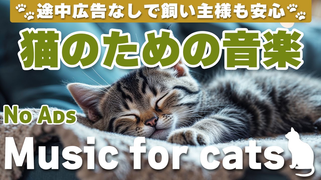 猫が落ち着く音楽/途中広告なしで安心/リラックス/12時間/cat relaxing music/No Ads/12 hours/Relaxing music for cats_vol.277