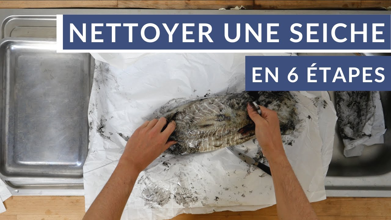 Comment nettoyer une seiche en 6 &eacute;tapes ? 🦑
