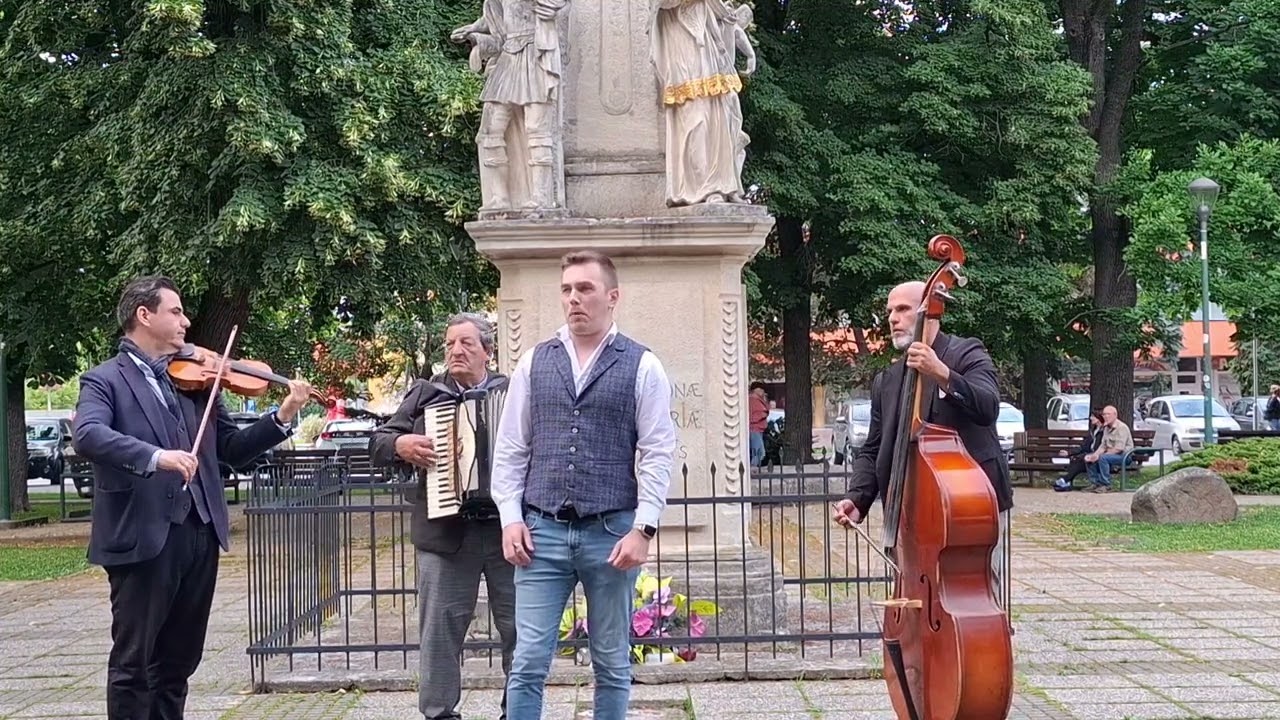 Zsákovics László, Cseh Tamás Band: Páros csillag nincs már többé az égen