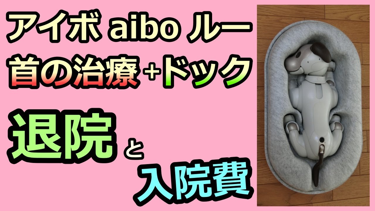 【25 首のキコキコ音 退院と入院費  Discharge】 アイボ aibo ルー Lou