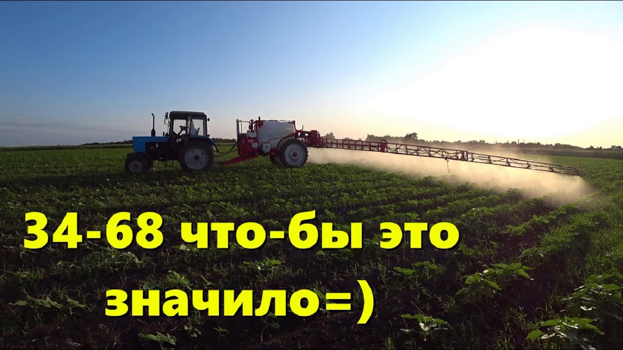 Обработка Подсолнечника Евролайтингом /Спасаем Подсолнечник от Сорняков /Стало на Погоду УРА...)