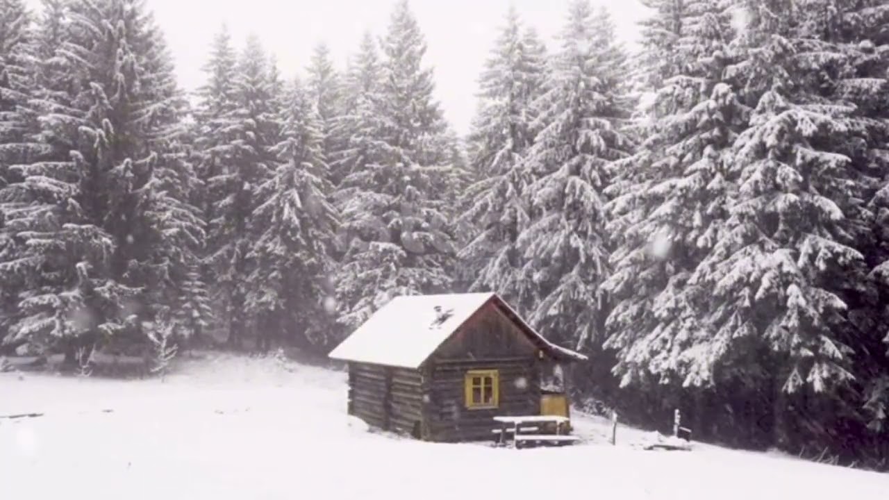 Simple Living Stress Relief | Snowy Night in the Alaska Woods | Tiny House| Off Grid 
