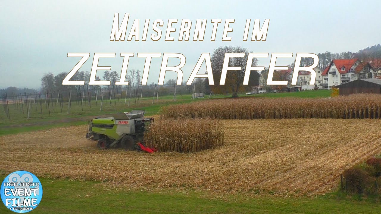 Maisernte im Zeitraffer - Der M&auml;hdrescher erntet das Maisfeld in 30 Minuten