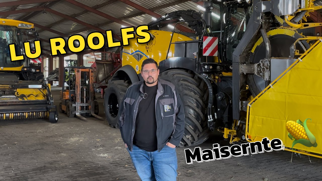 Maisernte 2025 mit dem Lohnunternehmen Roolfs 