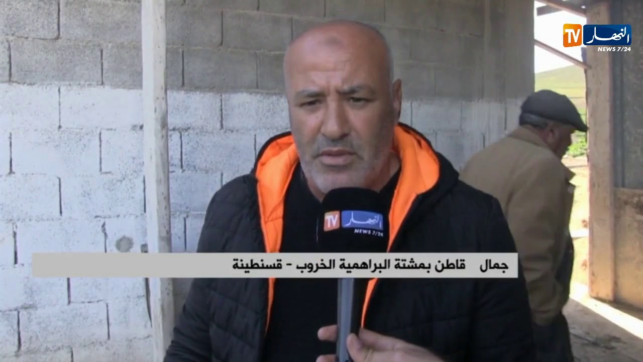 قسنطينة: سكان مشتة البراهمية يستعينون بالحطب للطهي والتدفئة