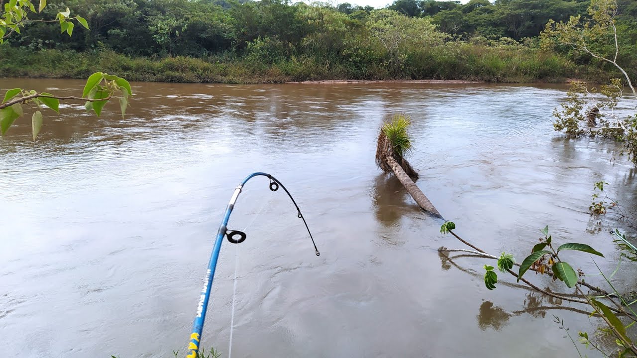 PESCA E FRITO BEM GOSTOSO!!!