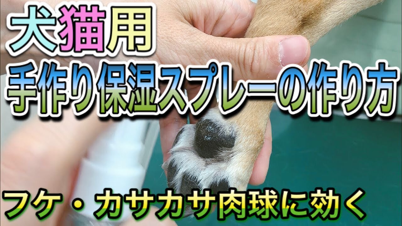 【皮膚のフケ・肉球のカサカサに】動物病院が手作りする犬猫保湿スプレーの作り方。