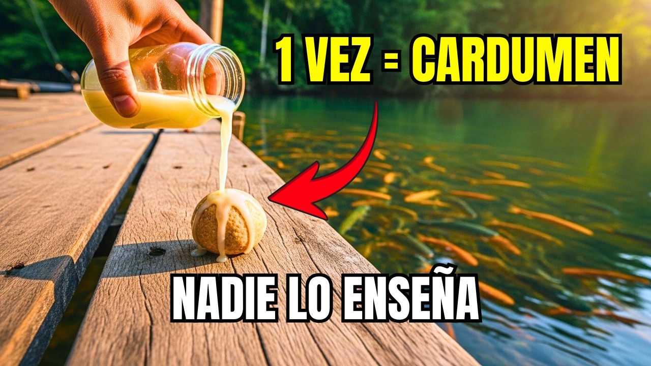 Los Peces Pican Al Primer Lanzamiento Y Siguen — Moja Una Vez El Cebo