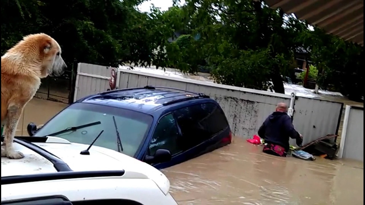 Cars Flood Crossing Fail Win 2017 New Compilation