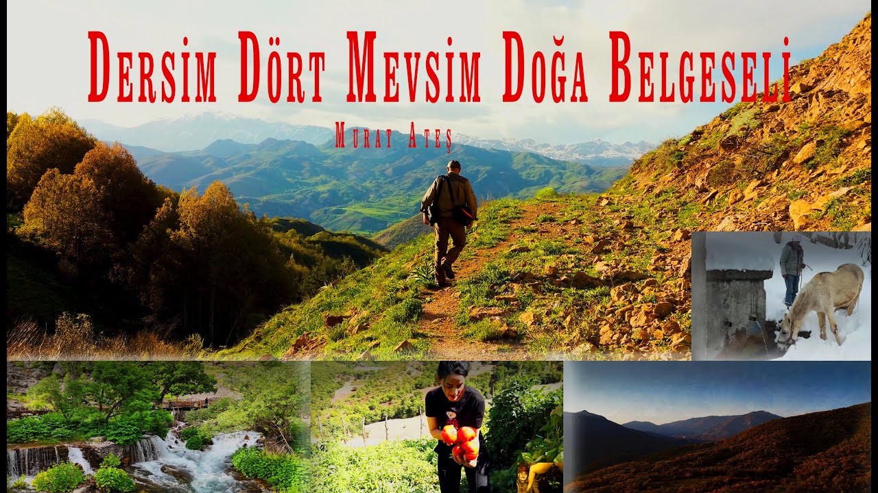 Murat Ateş Dersim/ Tunceli Dört Mevsim Doğa Belgeseli Munzur / Sonbahar yaprakları/Köyler