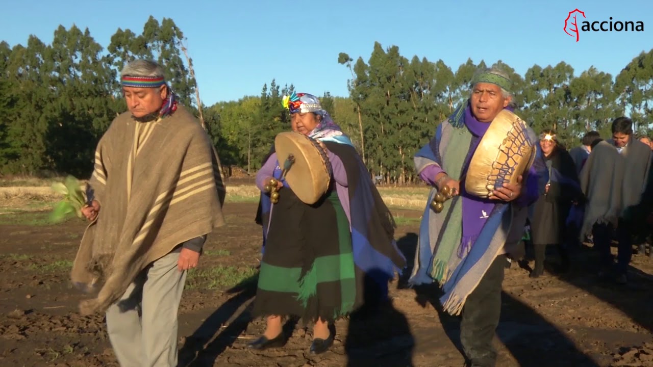 Ceremonia mapuche en el parque eólico San Gabriel (Chile) | ACCIONA