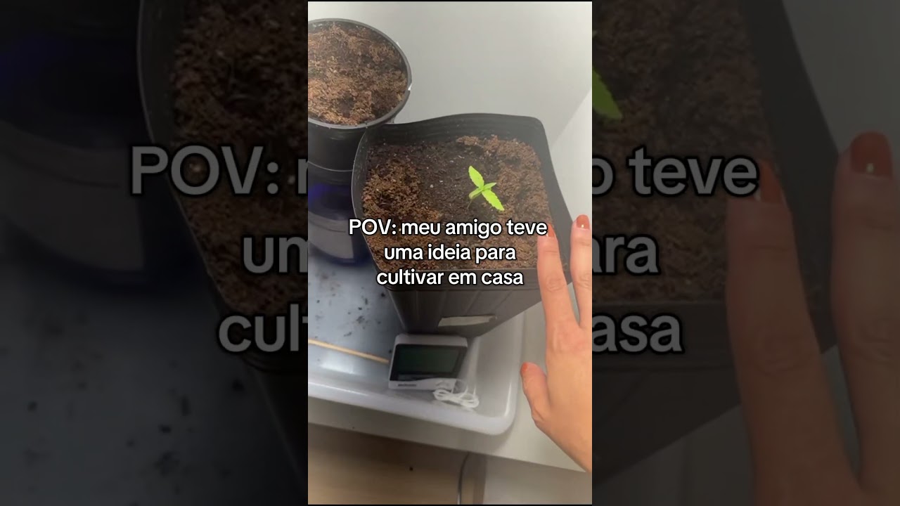 Cultive o seu com discri&ccedil;&atilde;o #cultivar #Growbox #cultivoindoor #homegrown