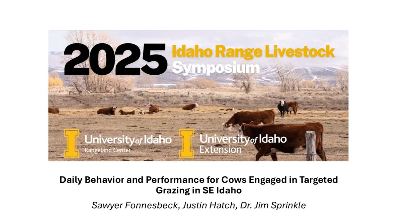 IRLS 2025: Daily Behavior and Performance for Cows Engaged in Targeted Grazing in SE Idaho