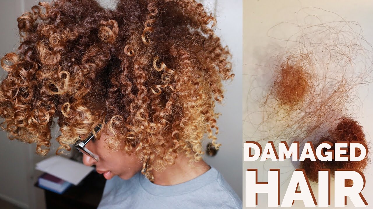 How to Do a Protein Treatment to Repair Bleached Natural Hair (4B/4C) | MEGSHOUSE