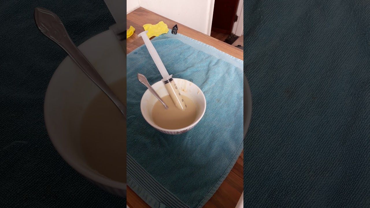 Handfeeding baby cockatiel with nutribird A21