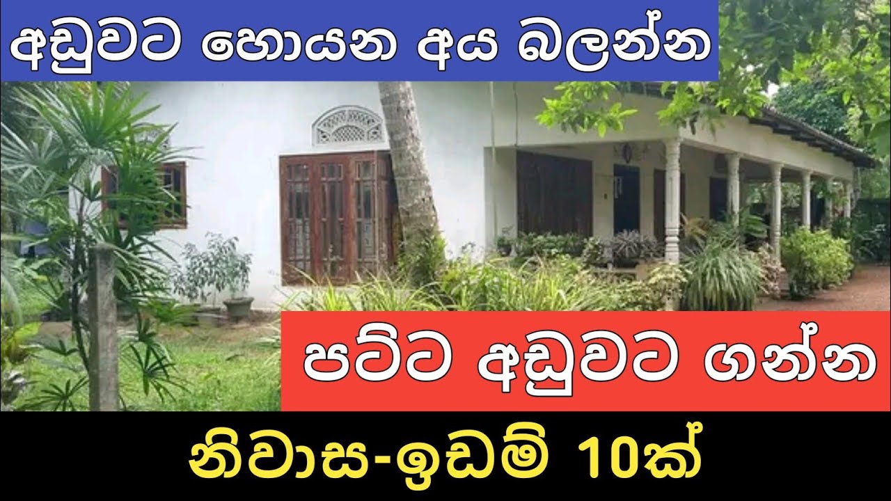 පට්ට අඩුවට නිවාස ඉඩම් 10ක් | Aduwata idam gewal | House for sale | Land sale | Ikman Selling 