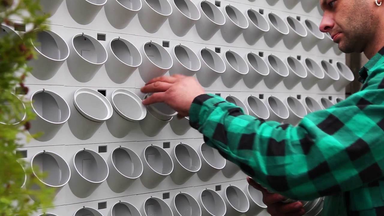Terrawall by Terra Group | ogrody wertykalne | otwarta przestrzeń