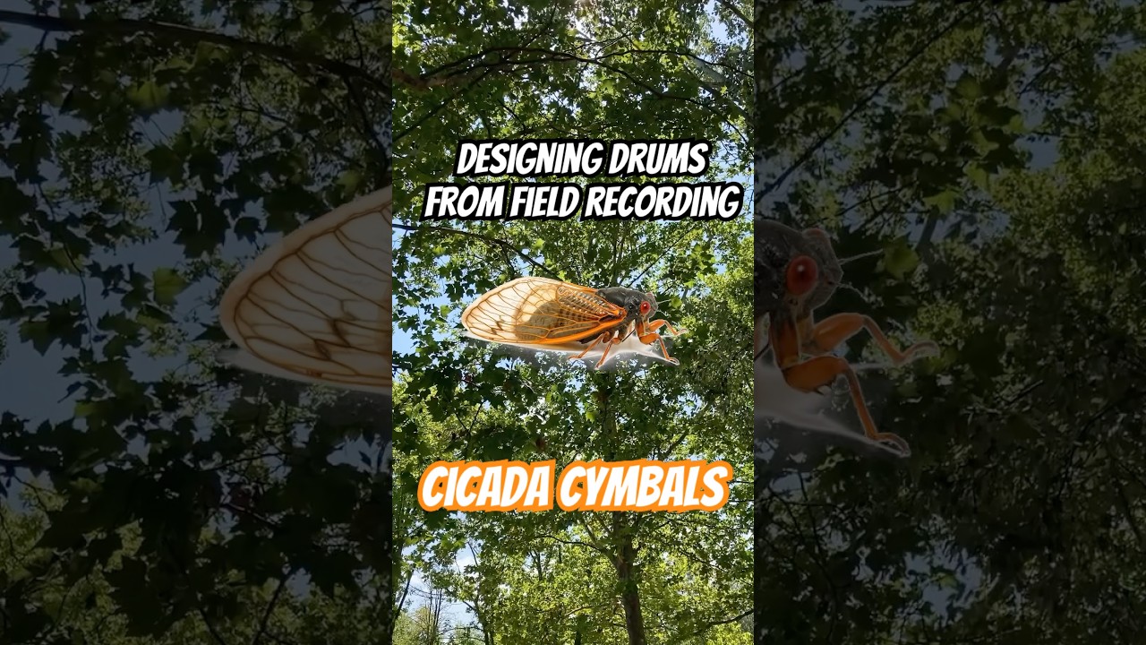 Designing drums from 