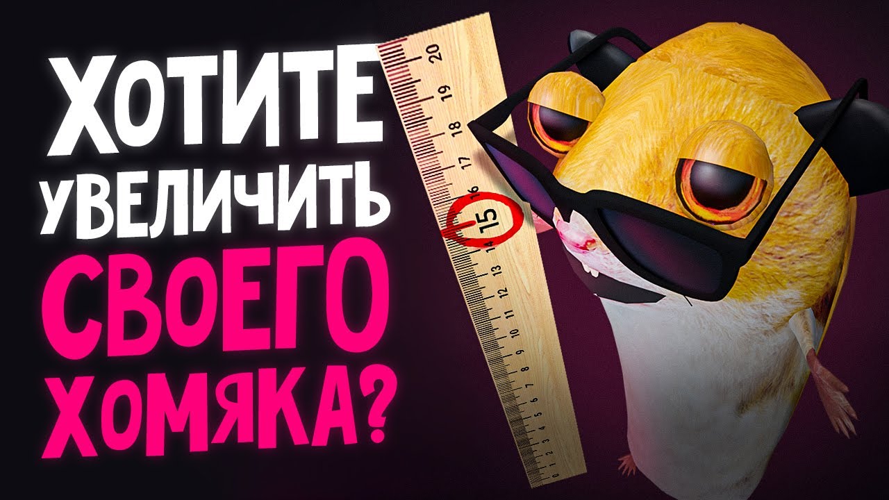 ХОМЯК МИША СТАЛ XXL | НОВЫЙ СЕЗОН