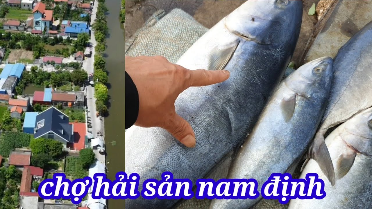 khám phá chợ hải sản hả hậu nam định-Xuân độ tv