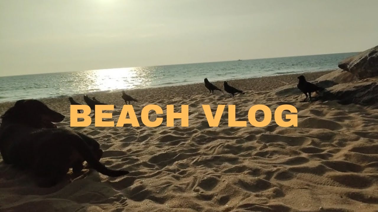A Beach Vlog, Padubidre beach 🏖️🌊