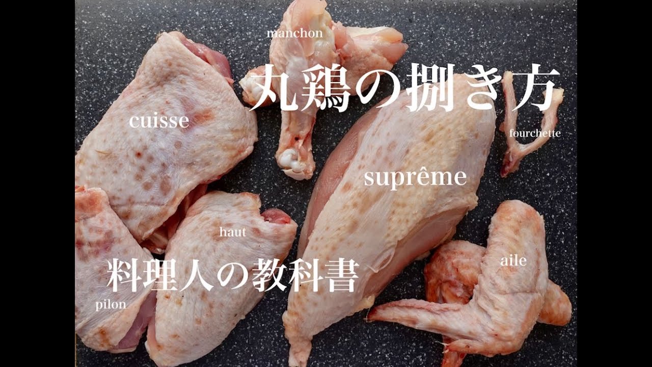 【完全解説】丸鶏の捌き方。【料理人の教科書②】désosser un poulet
