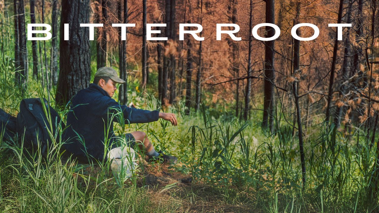 BITTERROOT Trailer