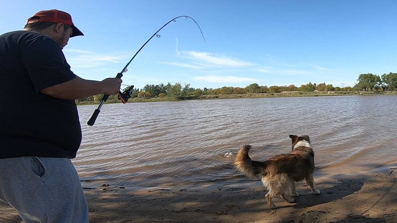 camping, PUENTE PARANACITO #pesca #cocina #aventura #viajes #carpfishing #argentina #entrerios #