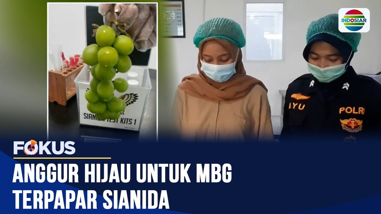 Anggur Hijau Impor untuk Program MBG Terindikasi Mengandung Zat Kimia Beracun Sianida | Fokus