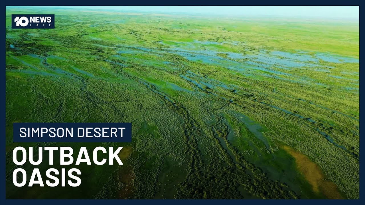 Австралийская глубинка позеленела после сильных дождей | 10 News