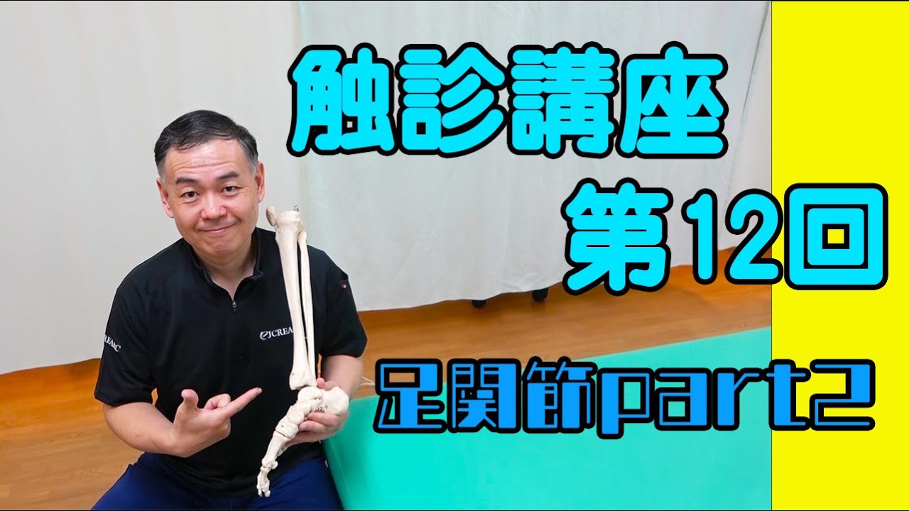 NO.12 足関節触診内側部編