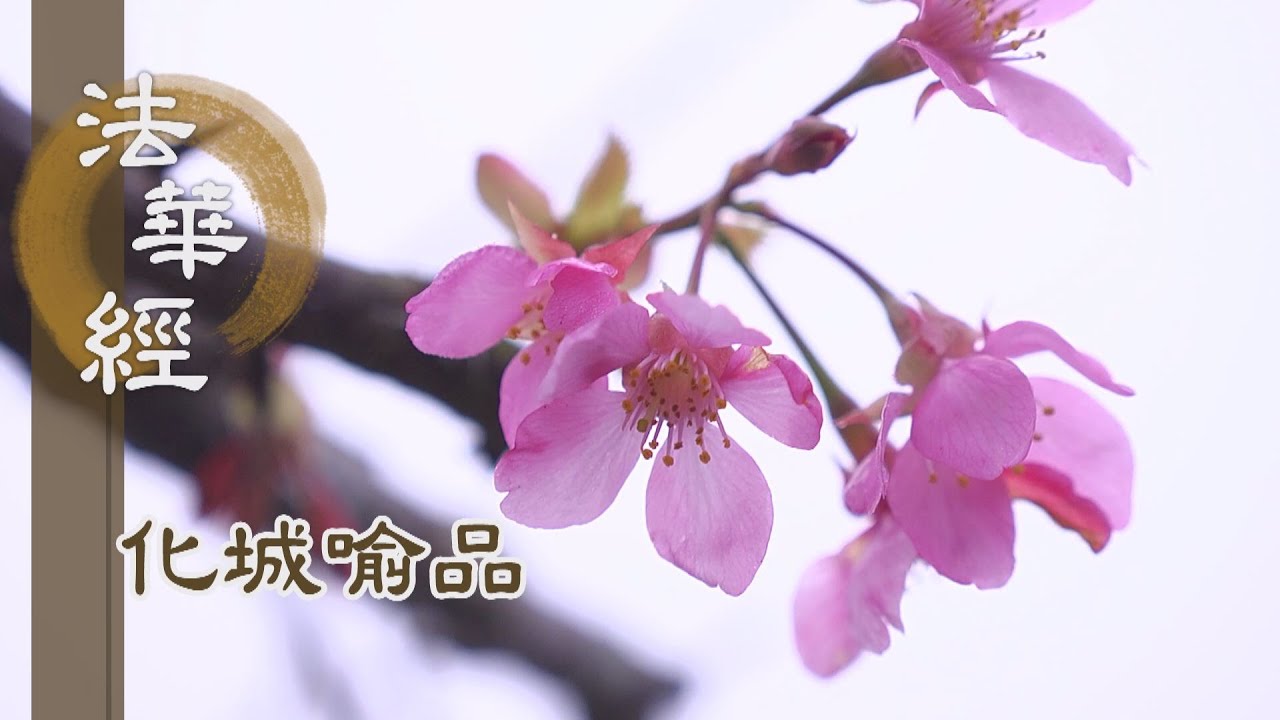 【靜思妙蓮華】法華經化城喻品 - 出於三界 漸近佛慧 - 20220207 第1084集
