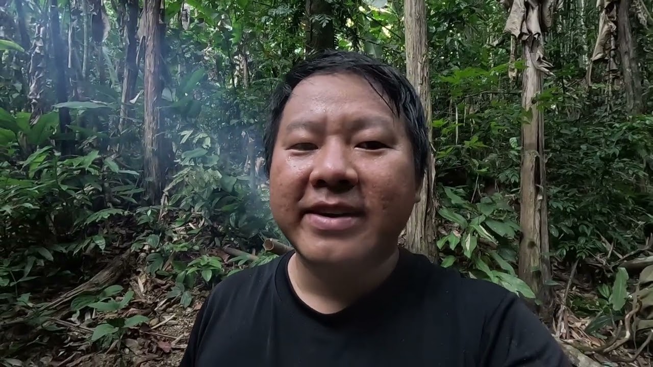 5 Days Surviving In the Lao Rainforest (No Food Challenge)