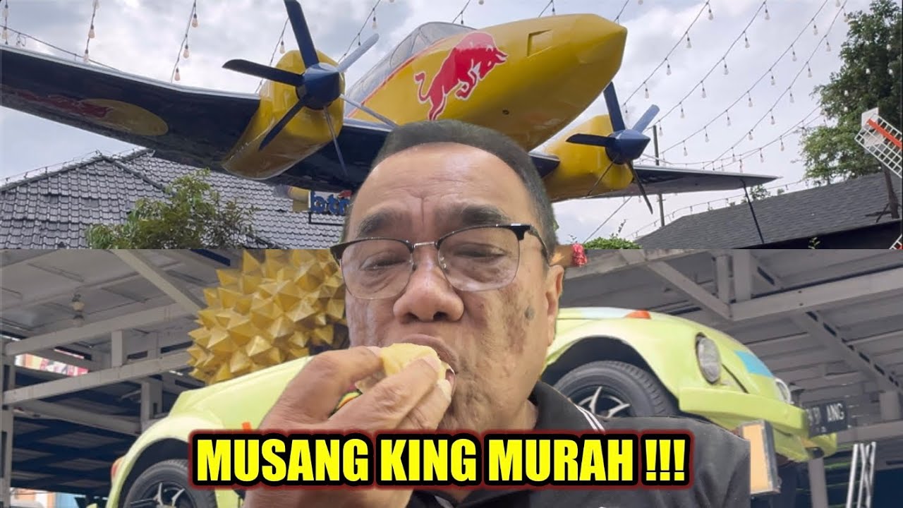 SI BOLANG DURIAN, MURAH MUSANG KING, BLACK THORN IMPORT, DURIAN SIDIKALANG, DURIAN MEDAN.