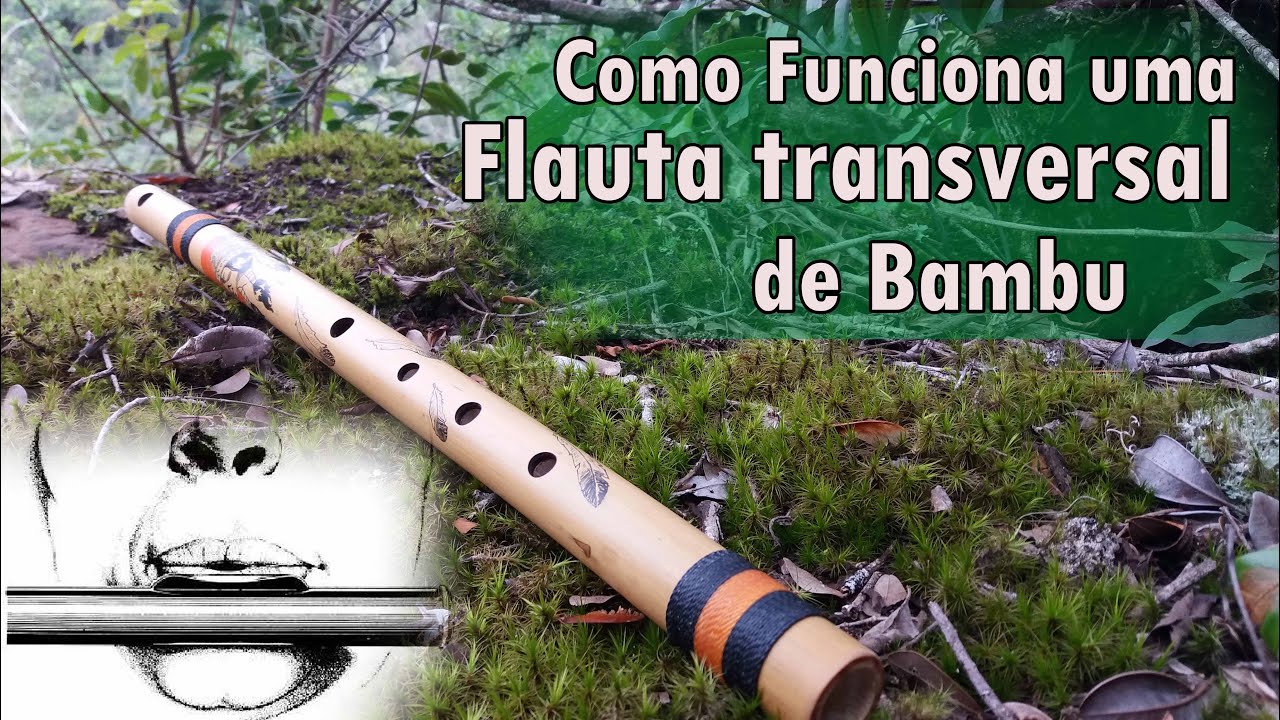 Como Funciona uma Flauta Transversal de Bambu