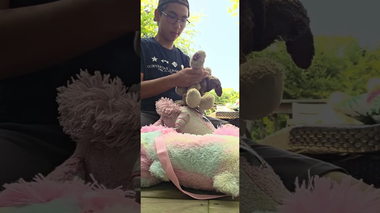 Destuffing a bab chase plush