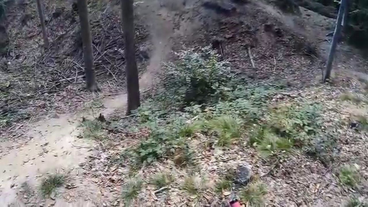 Sortie VTT forêt de Montmorency