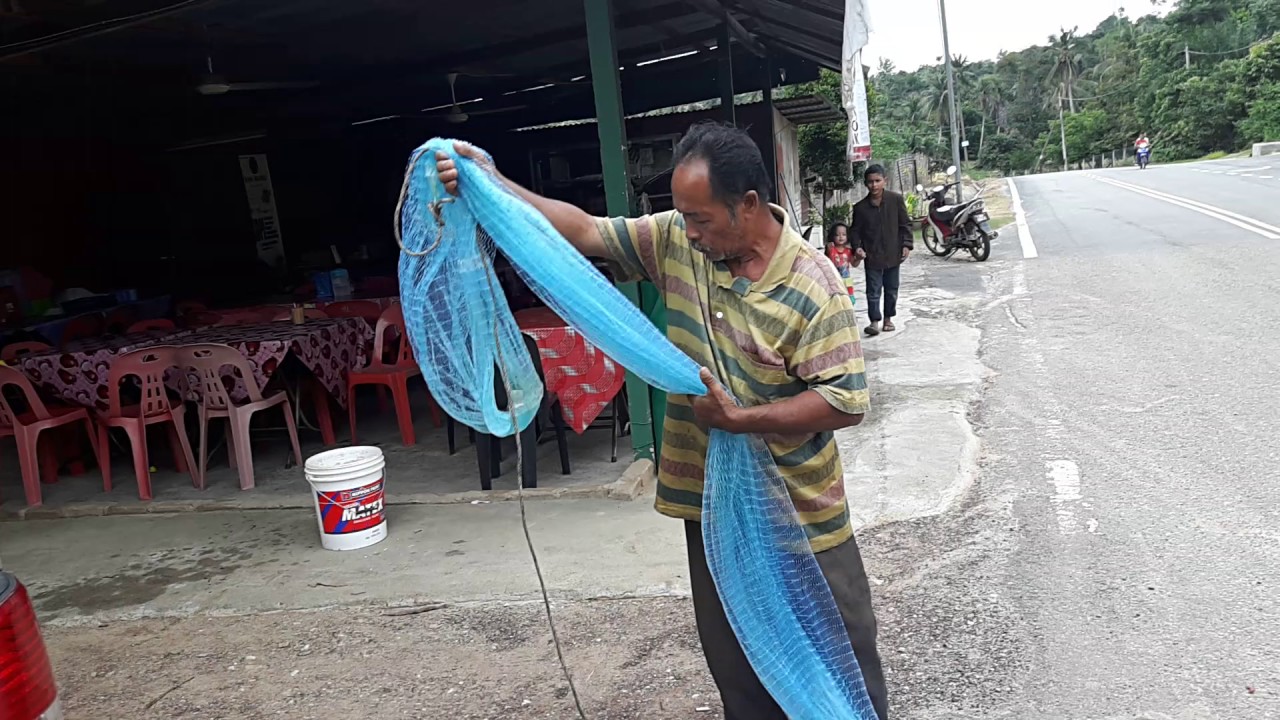 Pak hasan tebar jala