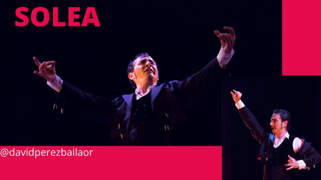 ✔ SOLEA de David Pérez  #coreografiadesolea  #baileporsoleaflamenco