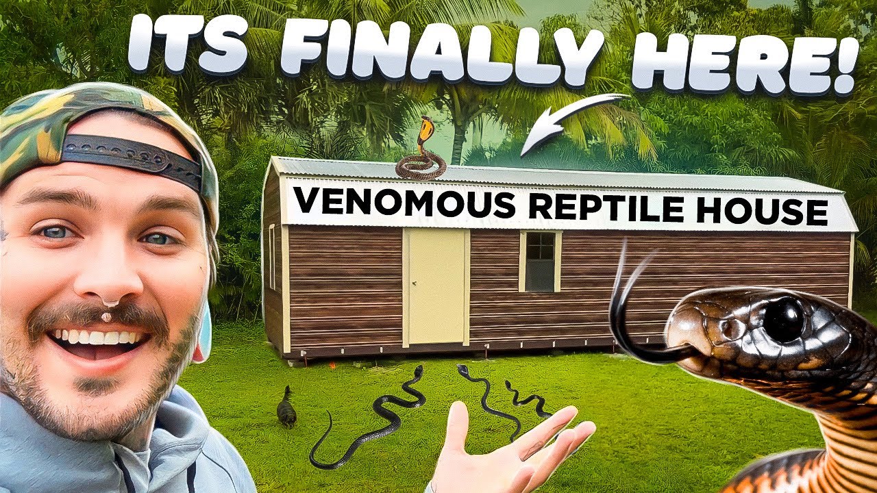 NEW SNAKE BUILDING IS HERE !!!