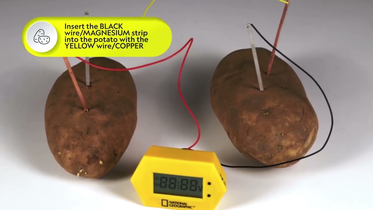 NATIONAL GEOGRAPHIC Battery Making Kit Instructions- Potato Clock and Penny Powered Flashlight