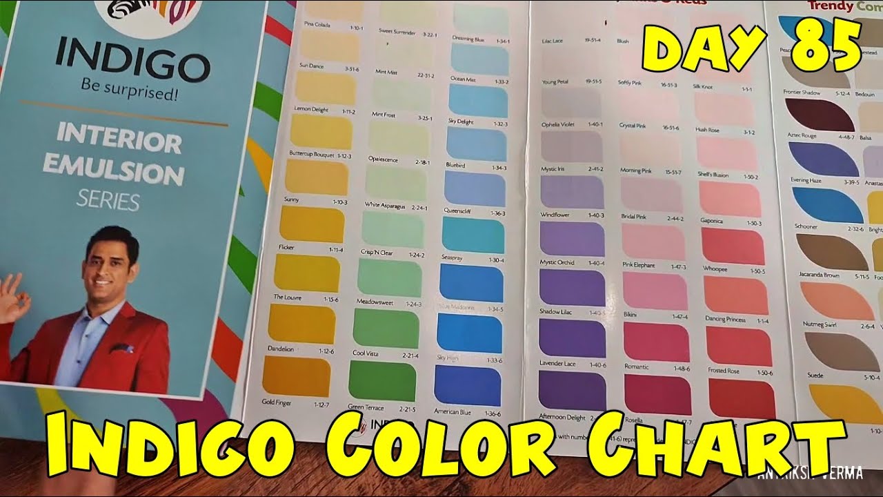 Indigo Interior Emulsion Color Chart | Home Construction Day 85